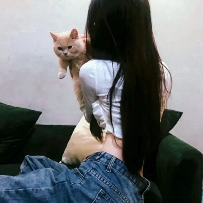 不知剧情也无妨