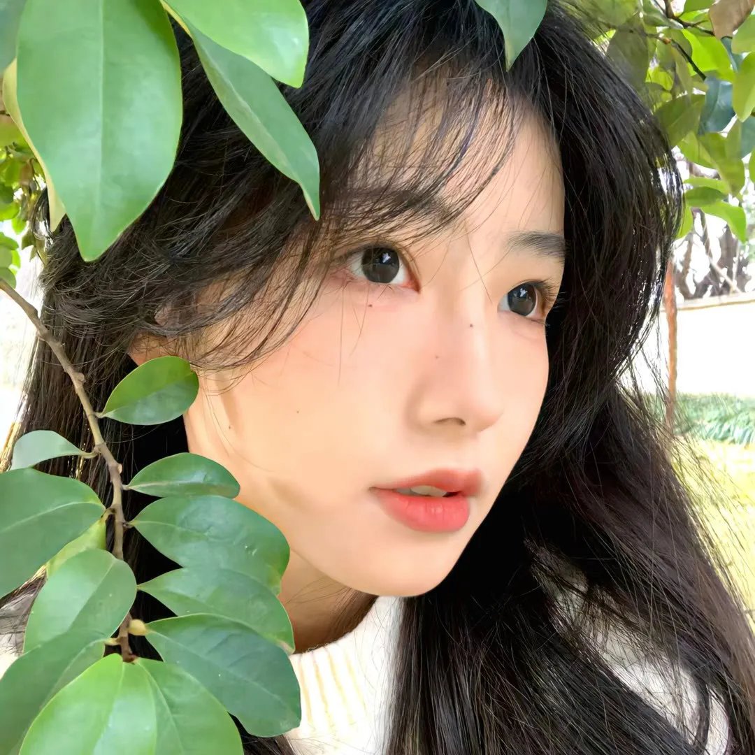 梦想家
